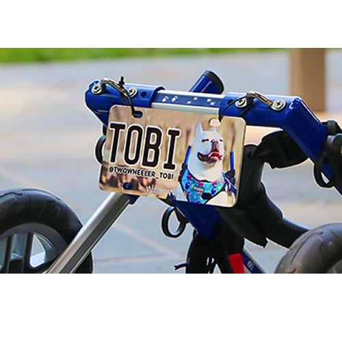 Training Lines > Dog Mobility > Customised License Plate for Walkin